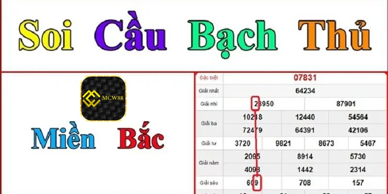 Soi cầu bạch thủ